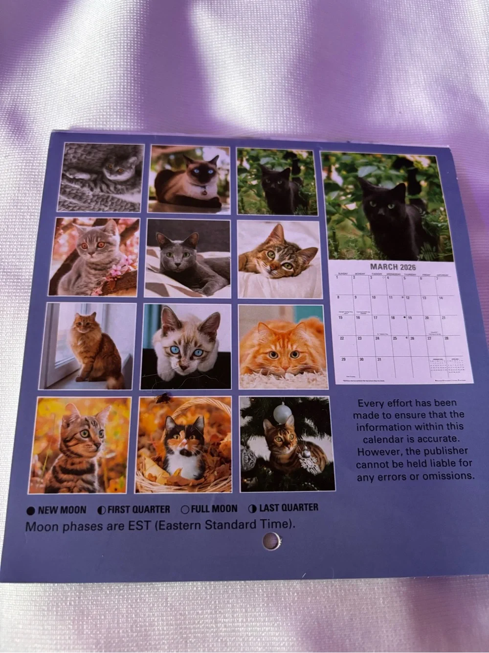 2026 Mini Cats 12-Month Wall Calendar Small Cat Calendar- July-December remains